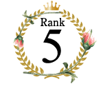 ランキング5位