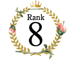 ランキング8位